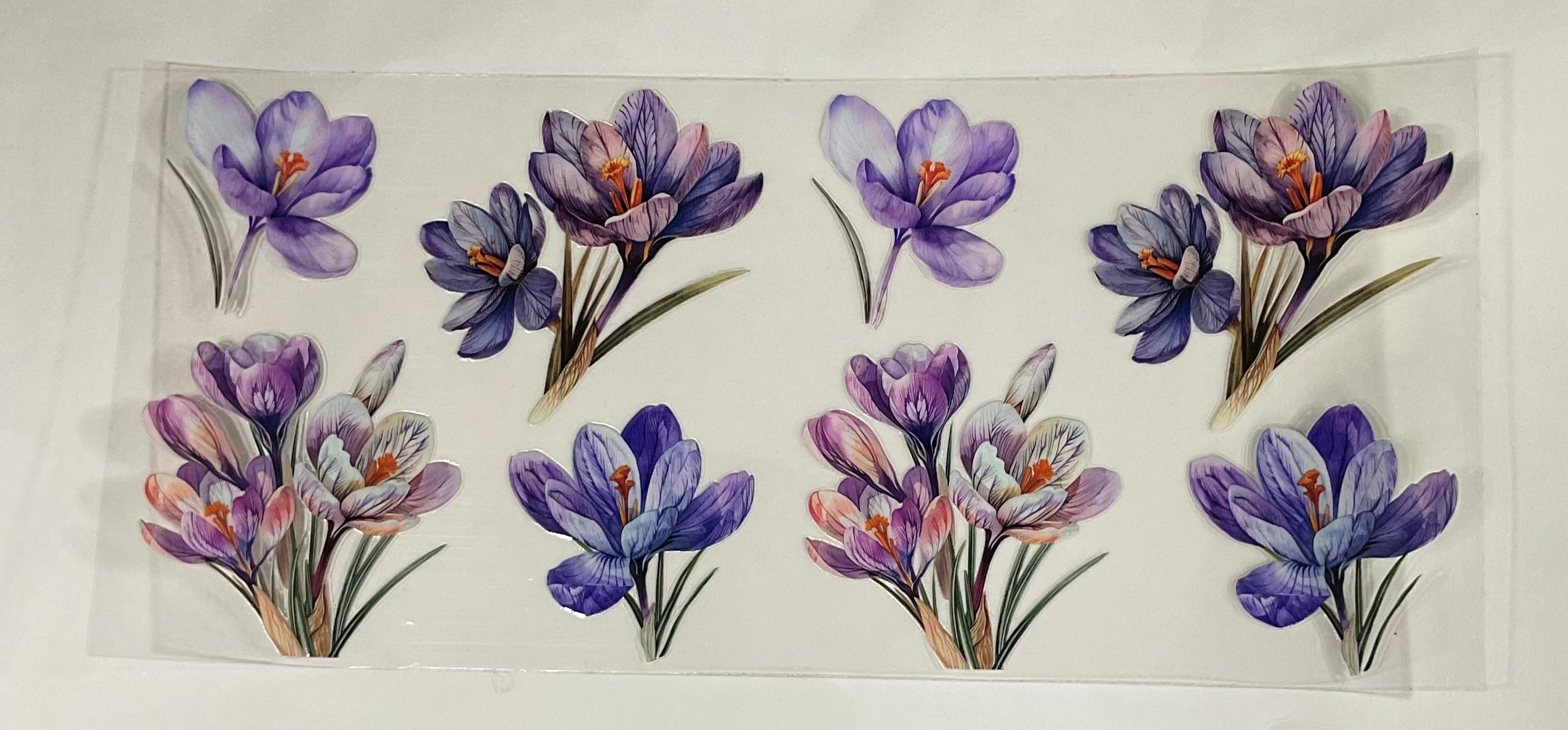 Purple Flowers