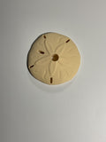 Oversized Straw Topper - Sand Dollar(Light)