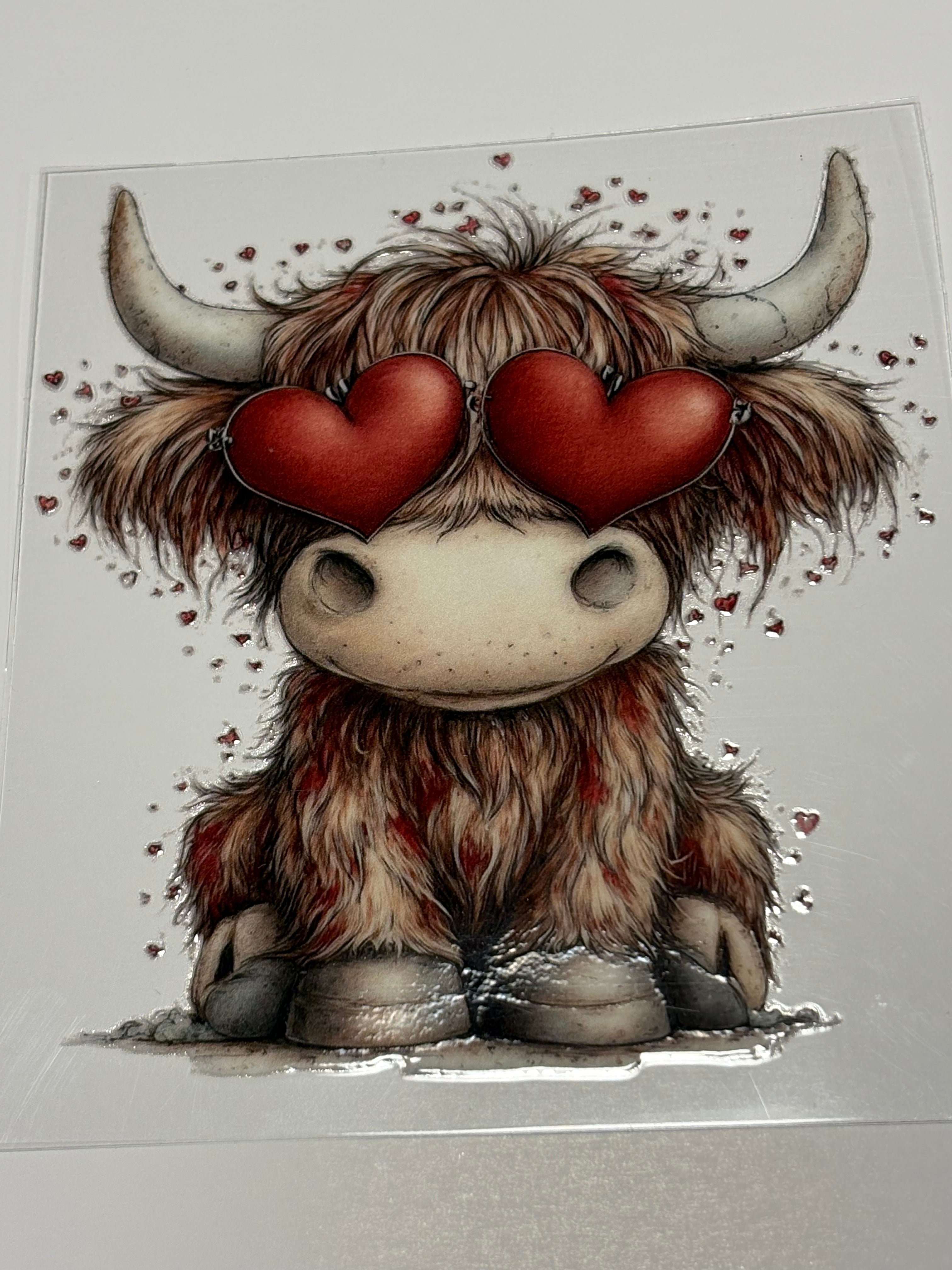 Valentine Heifer