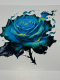 Flaming Blue Rose