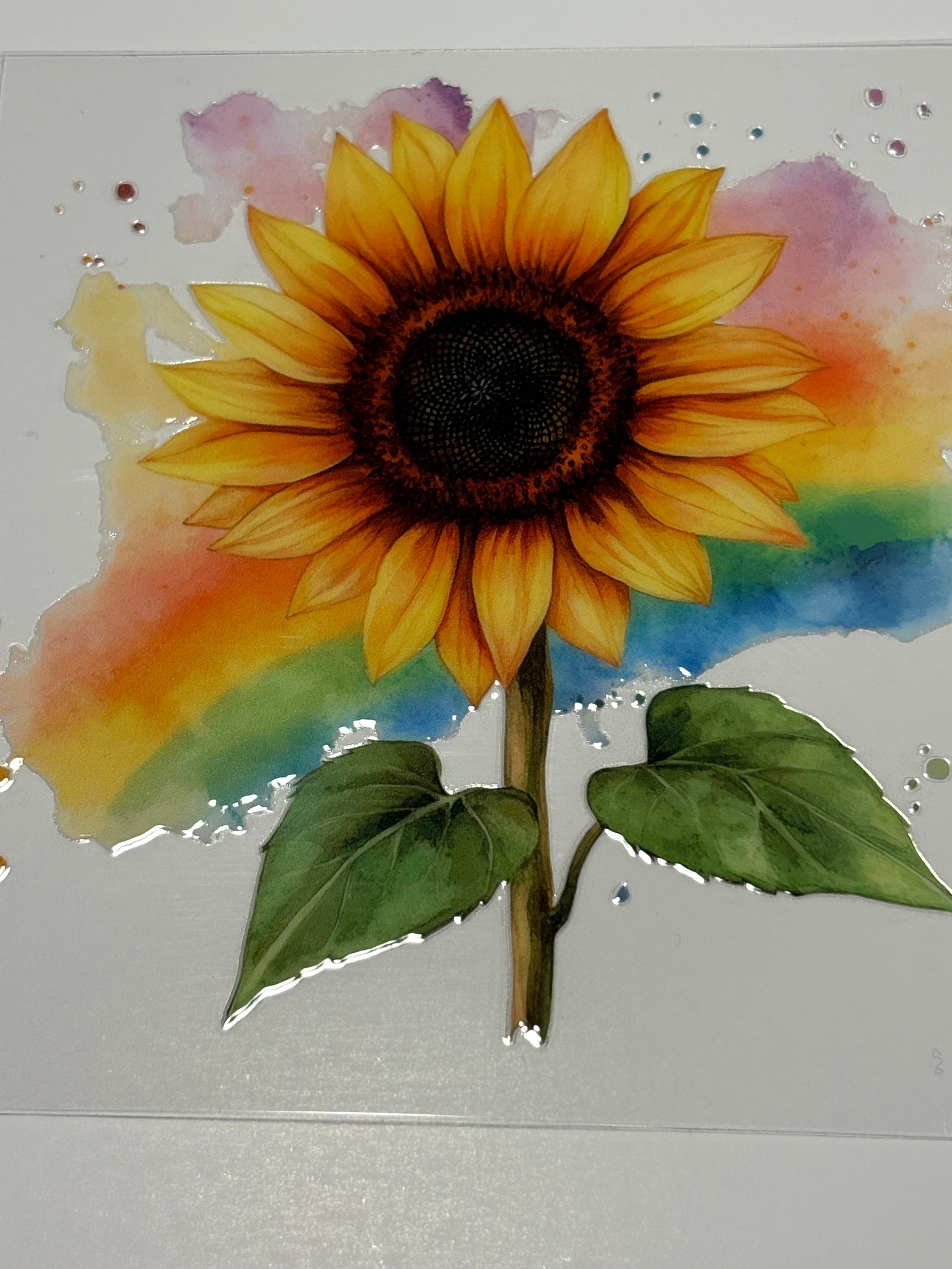 Sunflower with Rainbow background