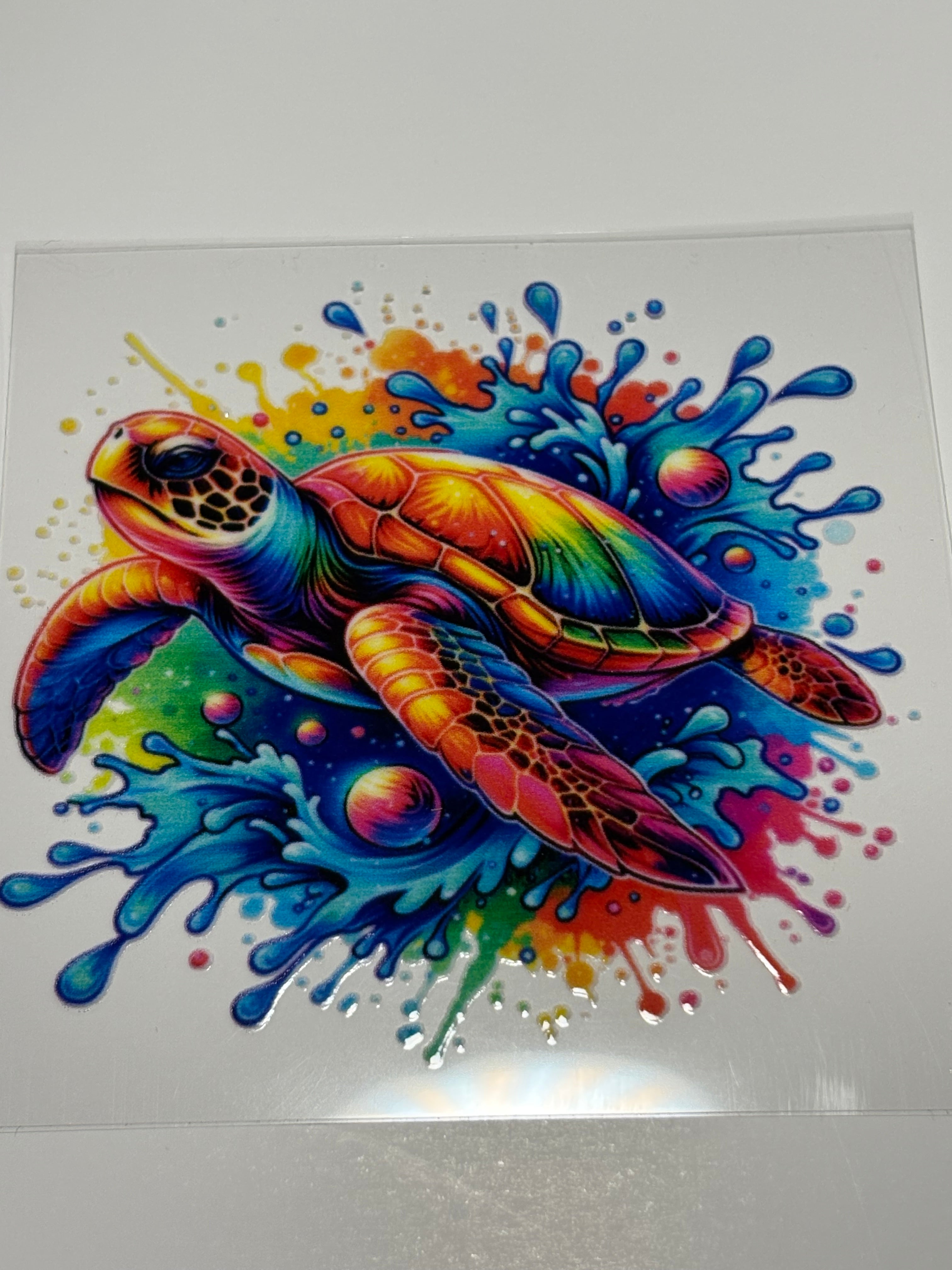 Rainbow Turtle