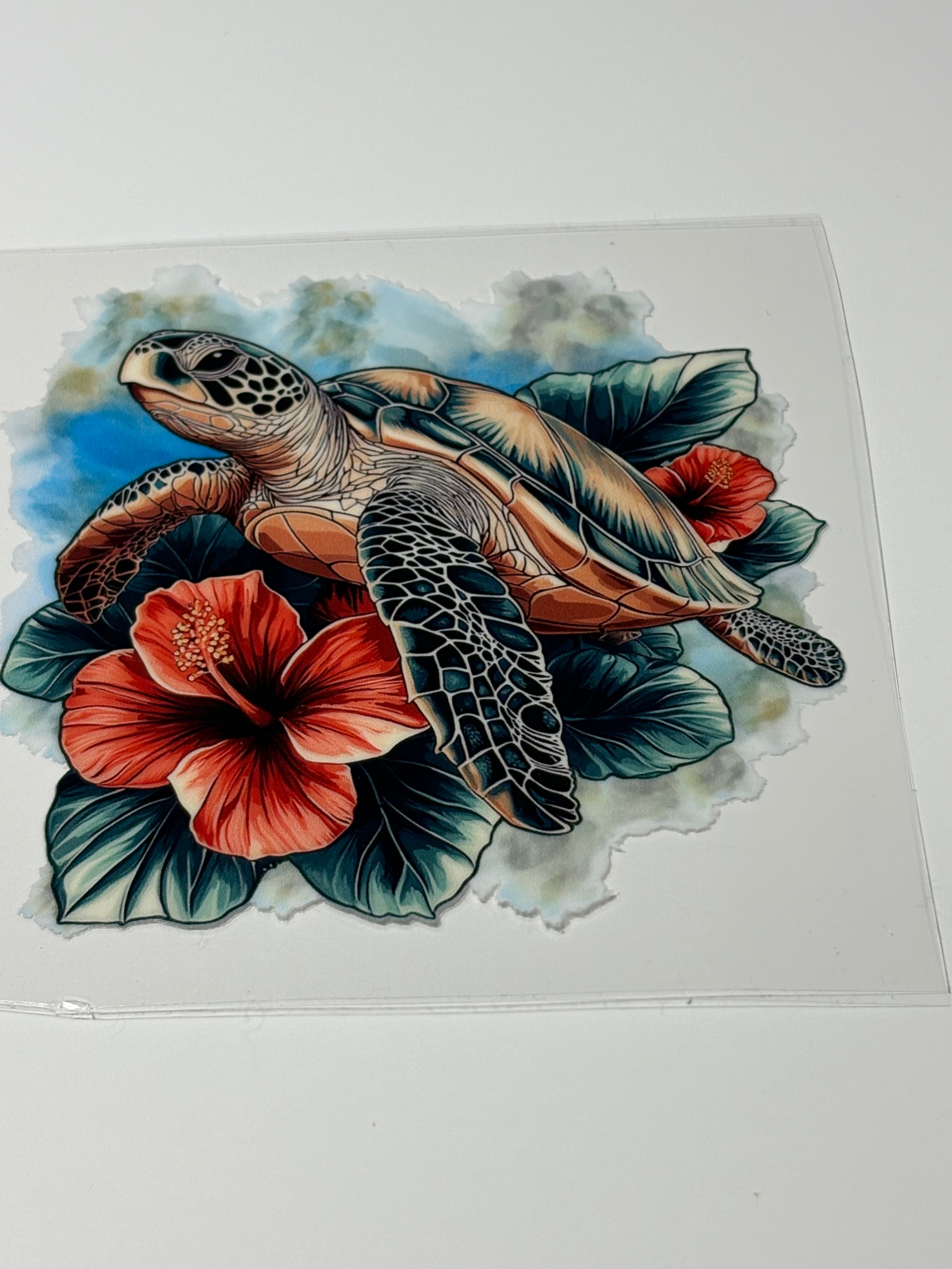 Sea Turtle