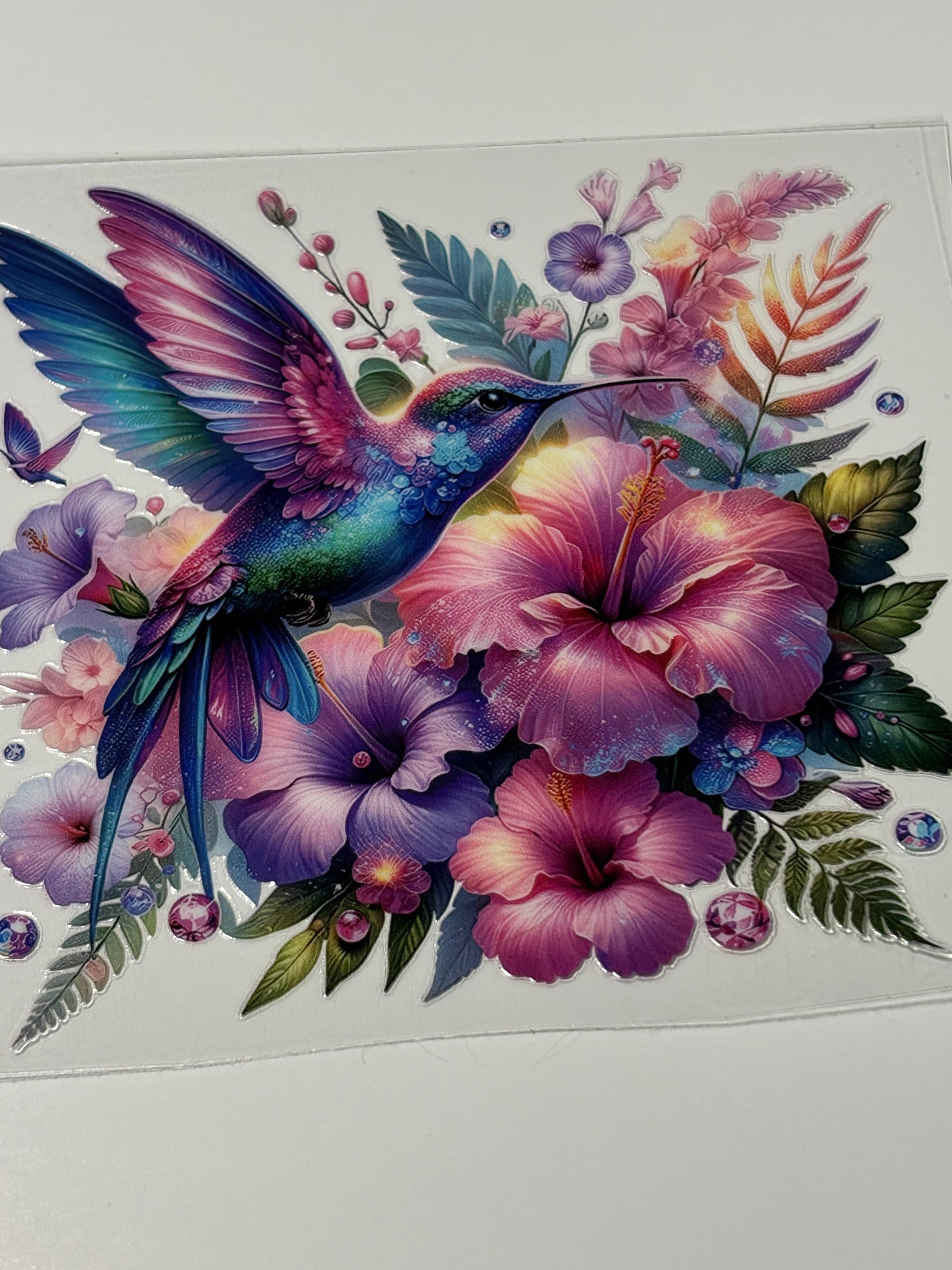 Hummingbird(Colorful)