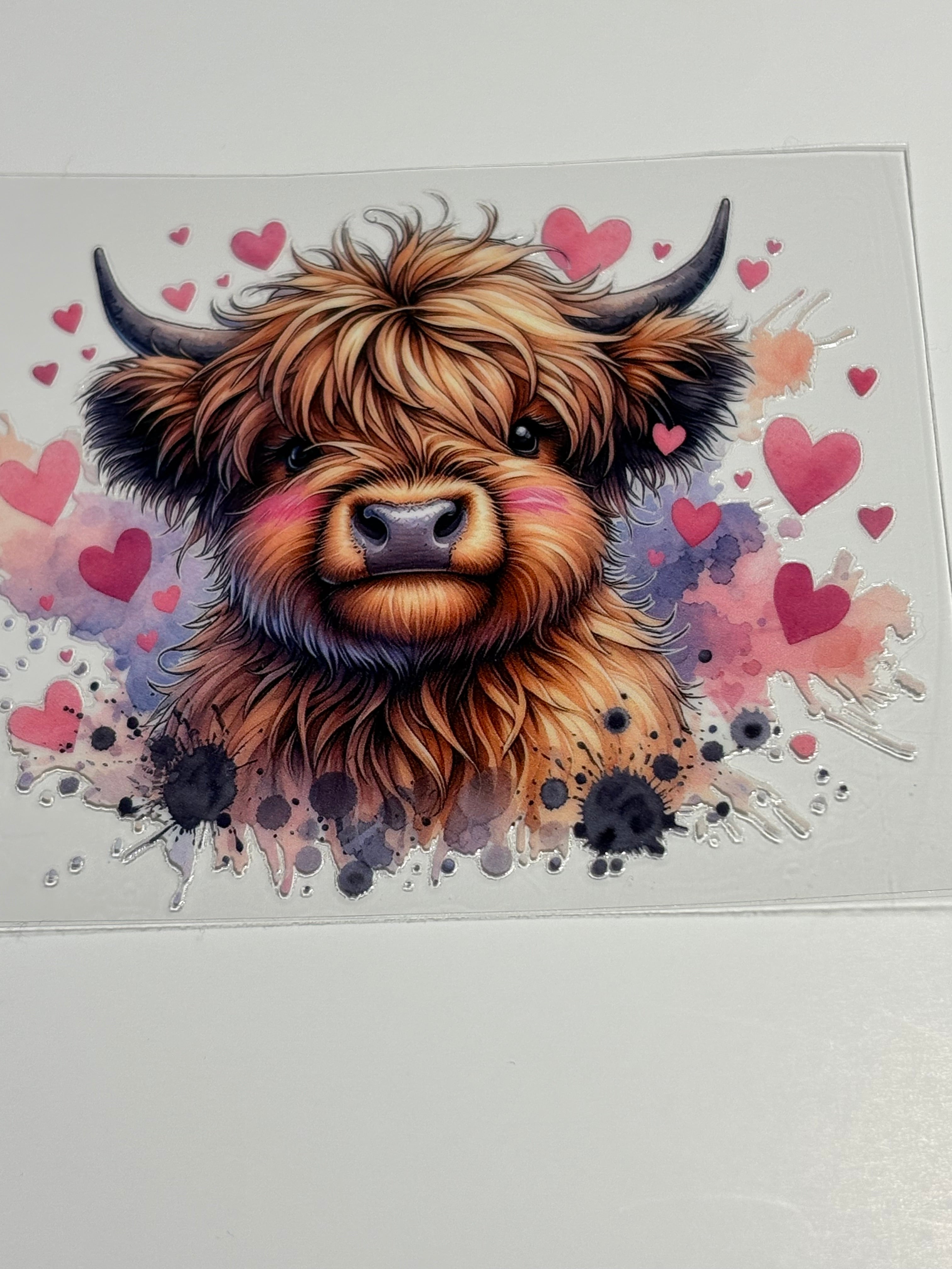 Love Heifer