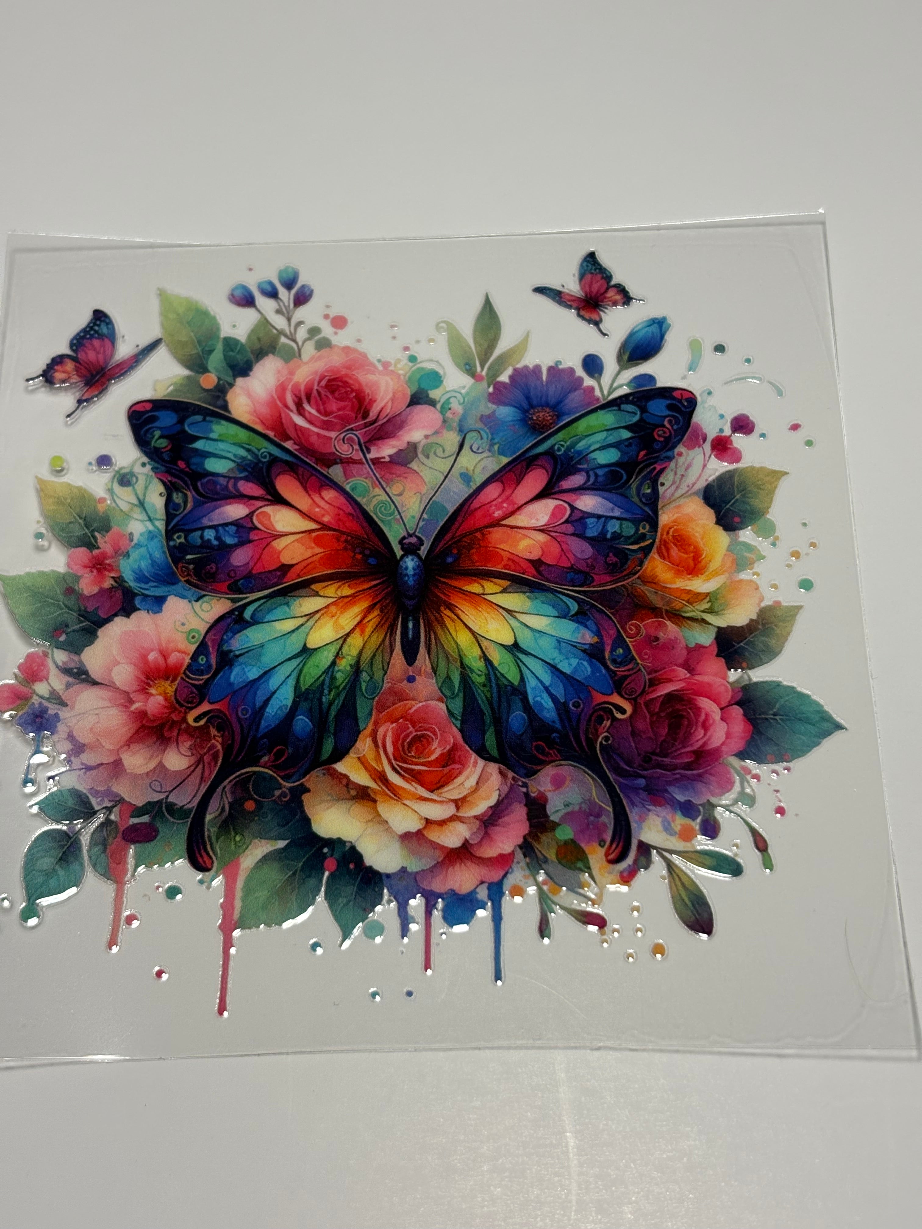 Rainbow Butterfly