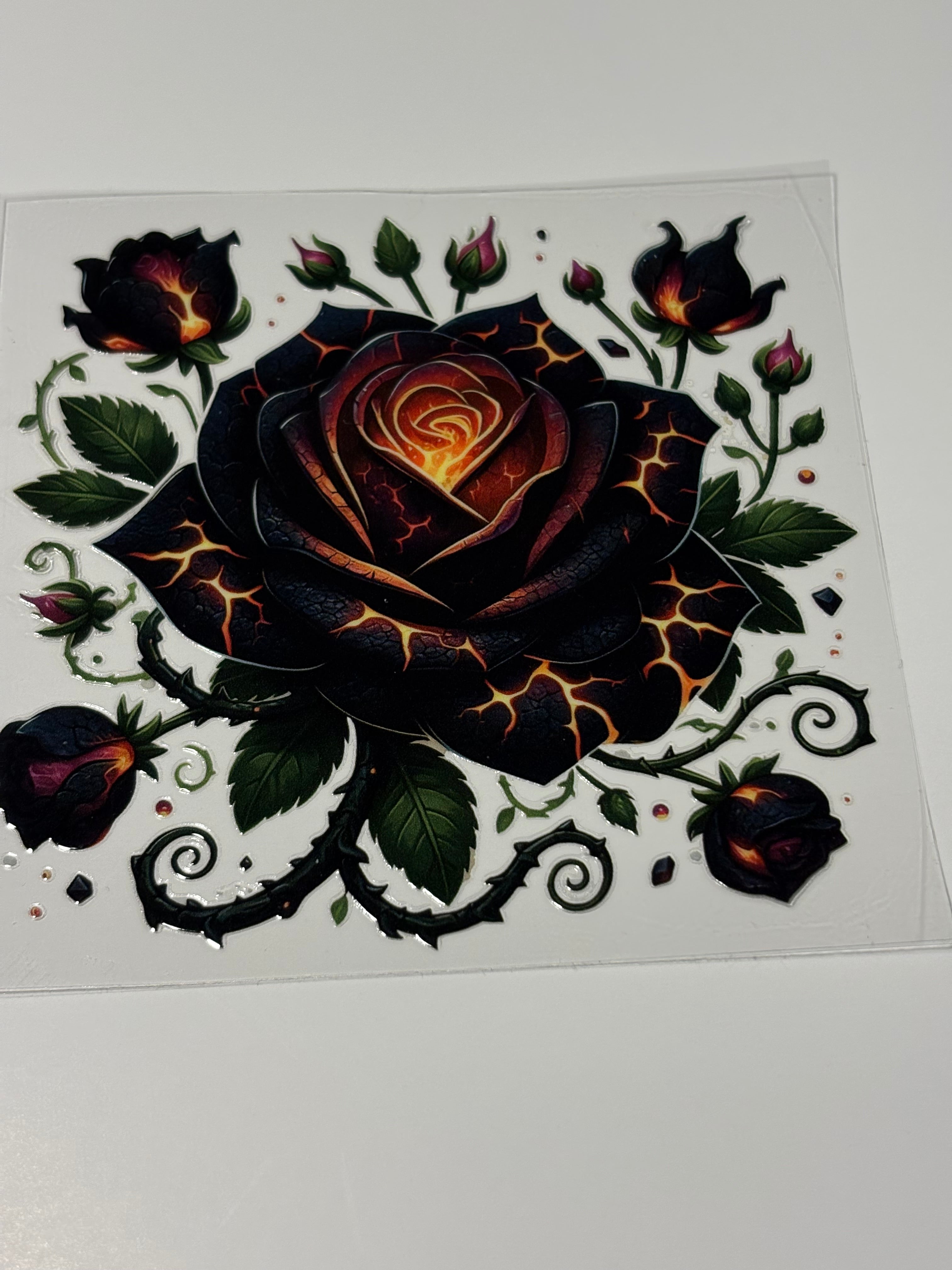Black & Orange Rose