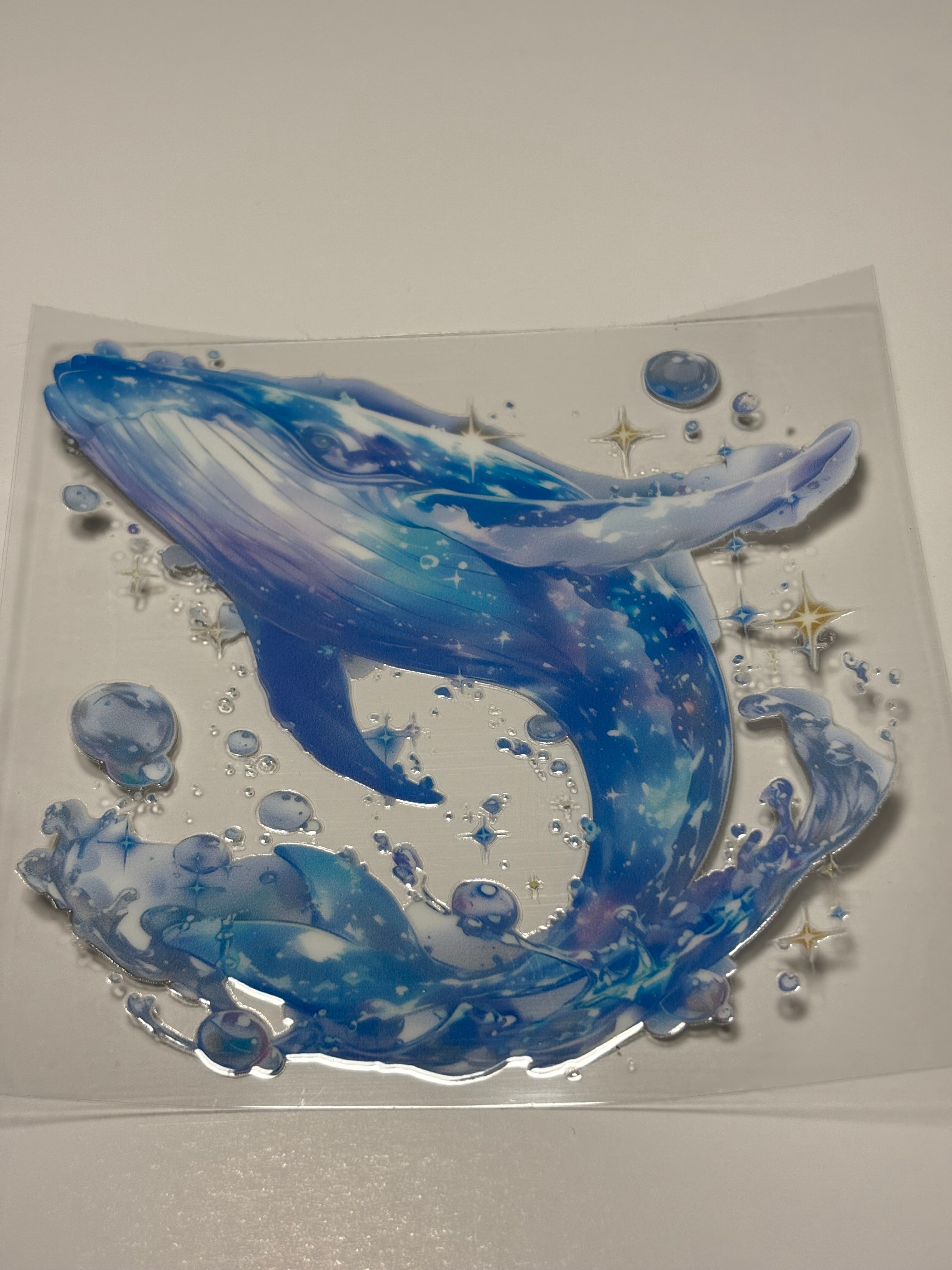 Translucent Whale