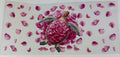 Pink Sea Turtle