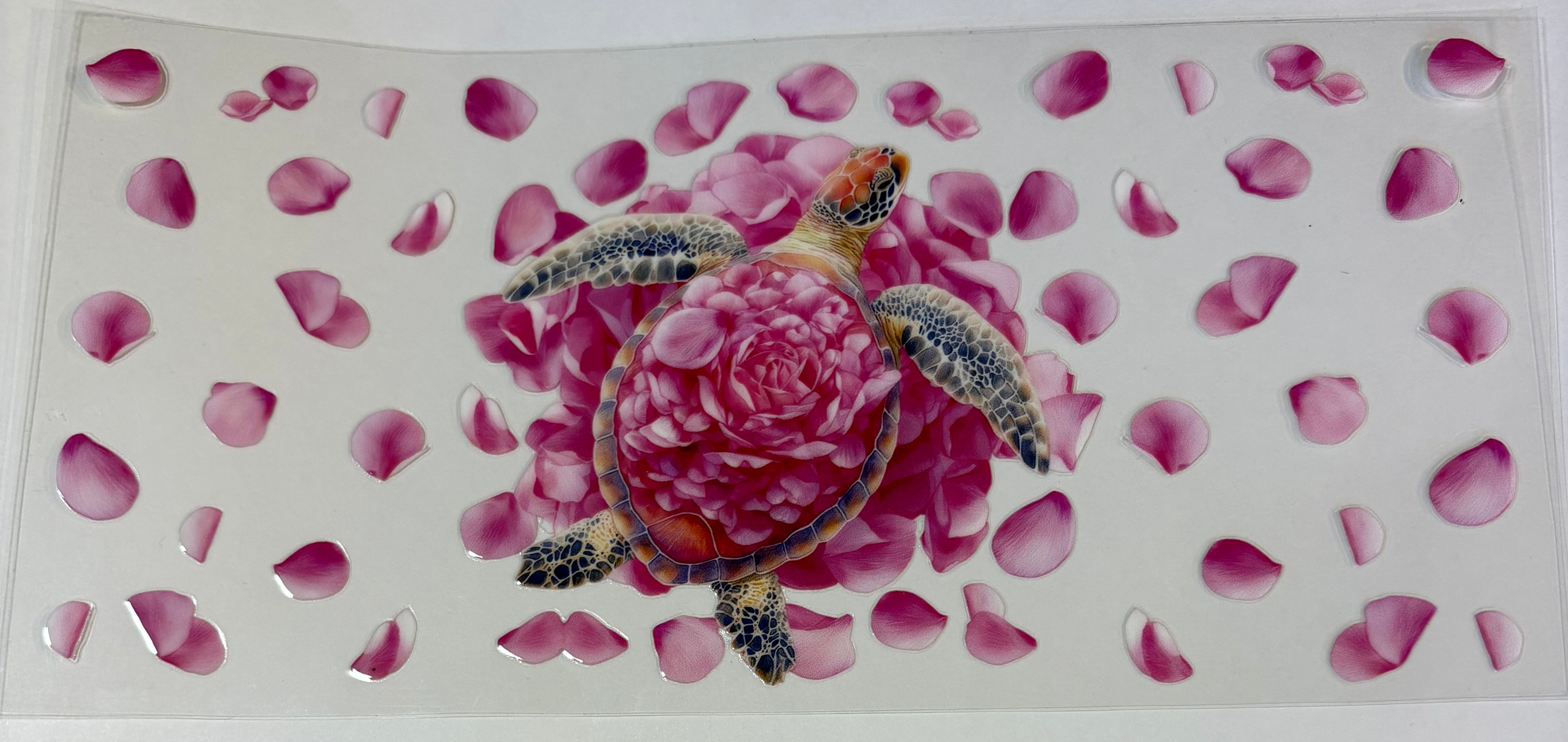 Pink Sea Turtle