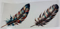 Feathers(Western)