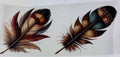 Western Feathers