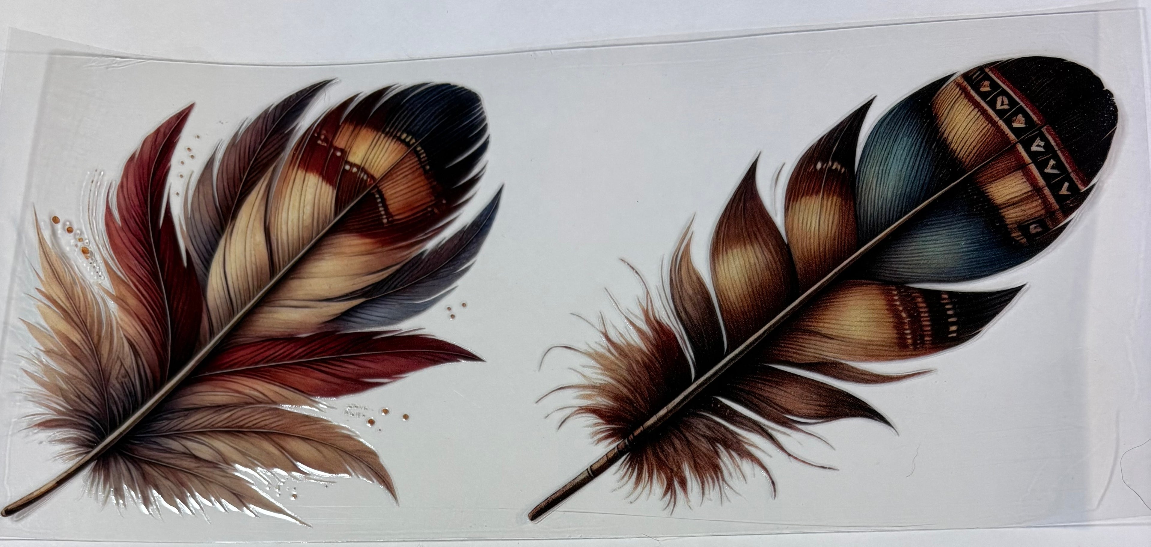 Western Feathers