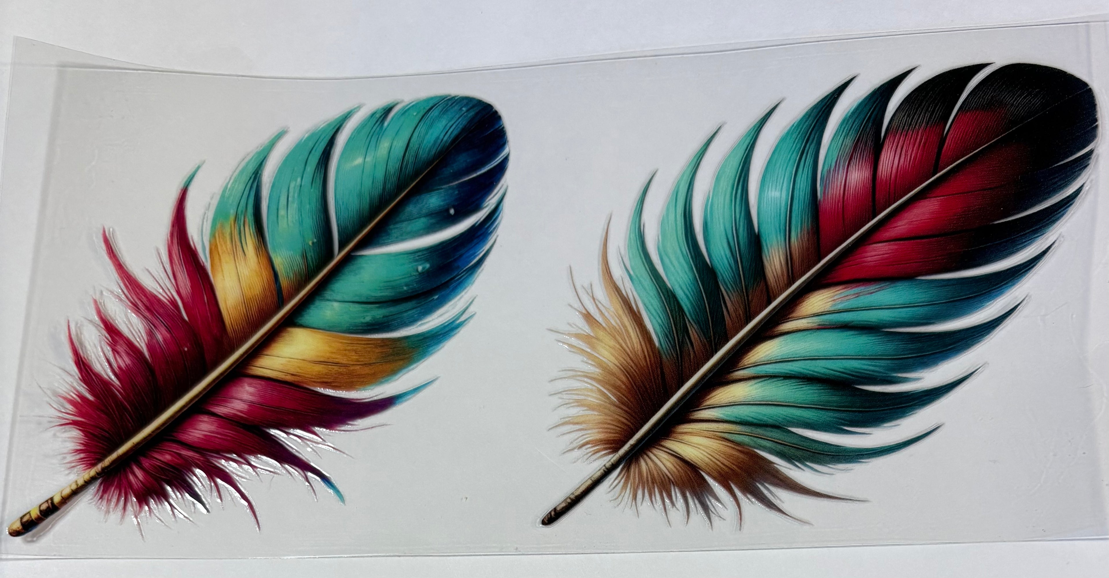 Western Feathers