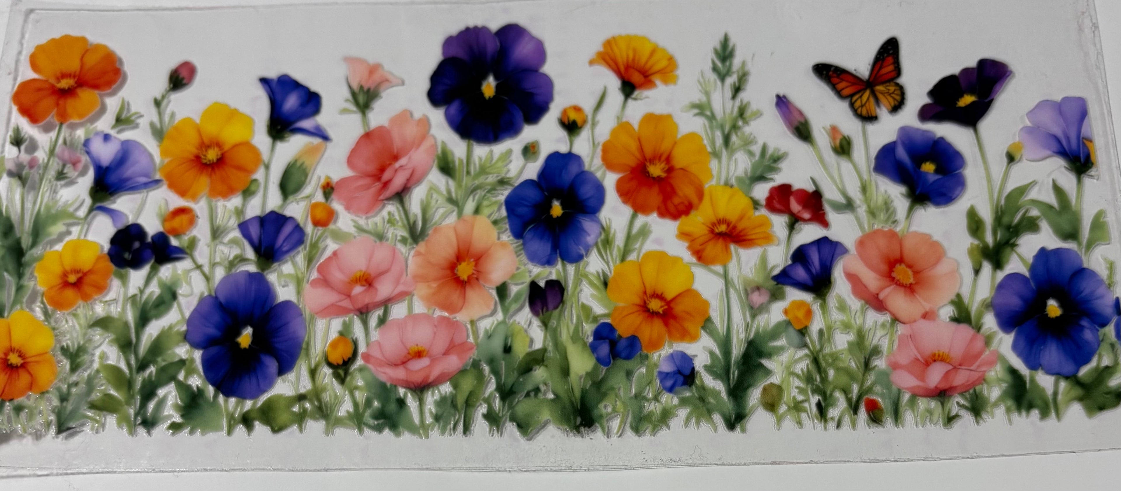 Colorful Flowers