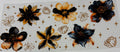 Yellow & Black Flowers