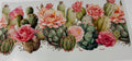 Cactus Flowers