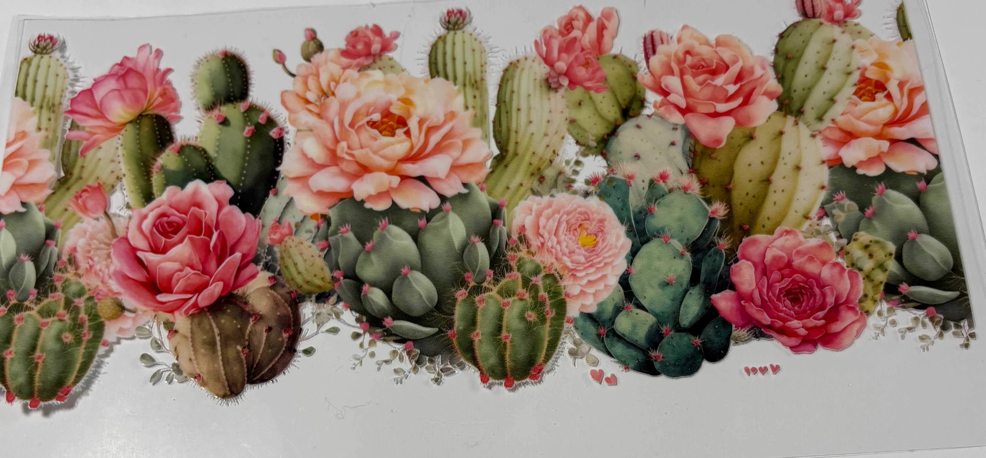 Cactus Flowers