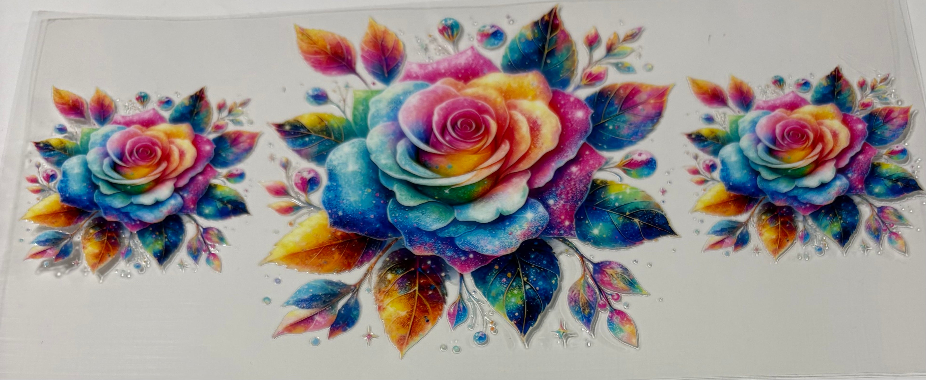 Colorful Roses