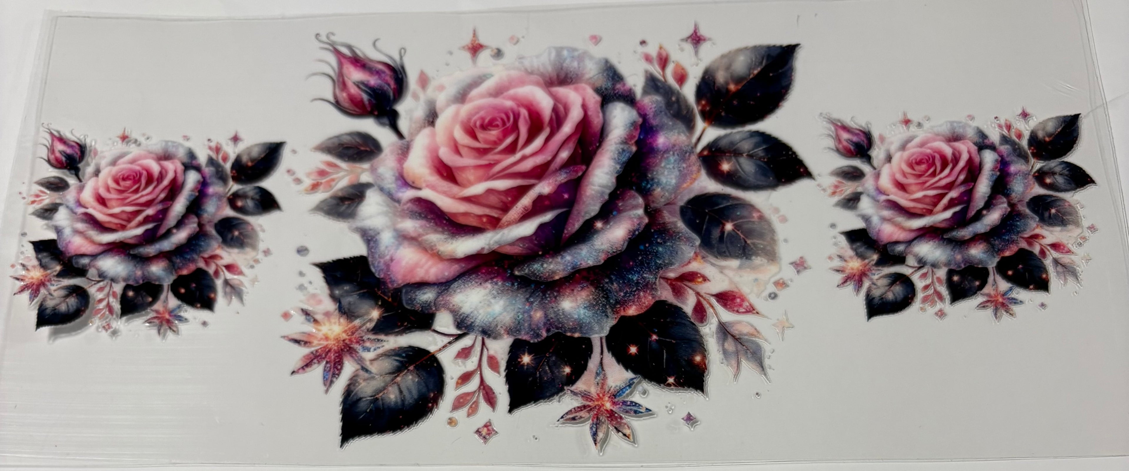 Colorful Roses