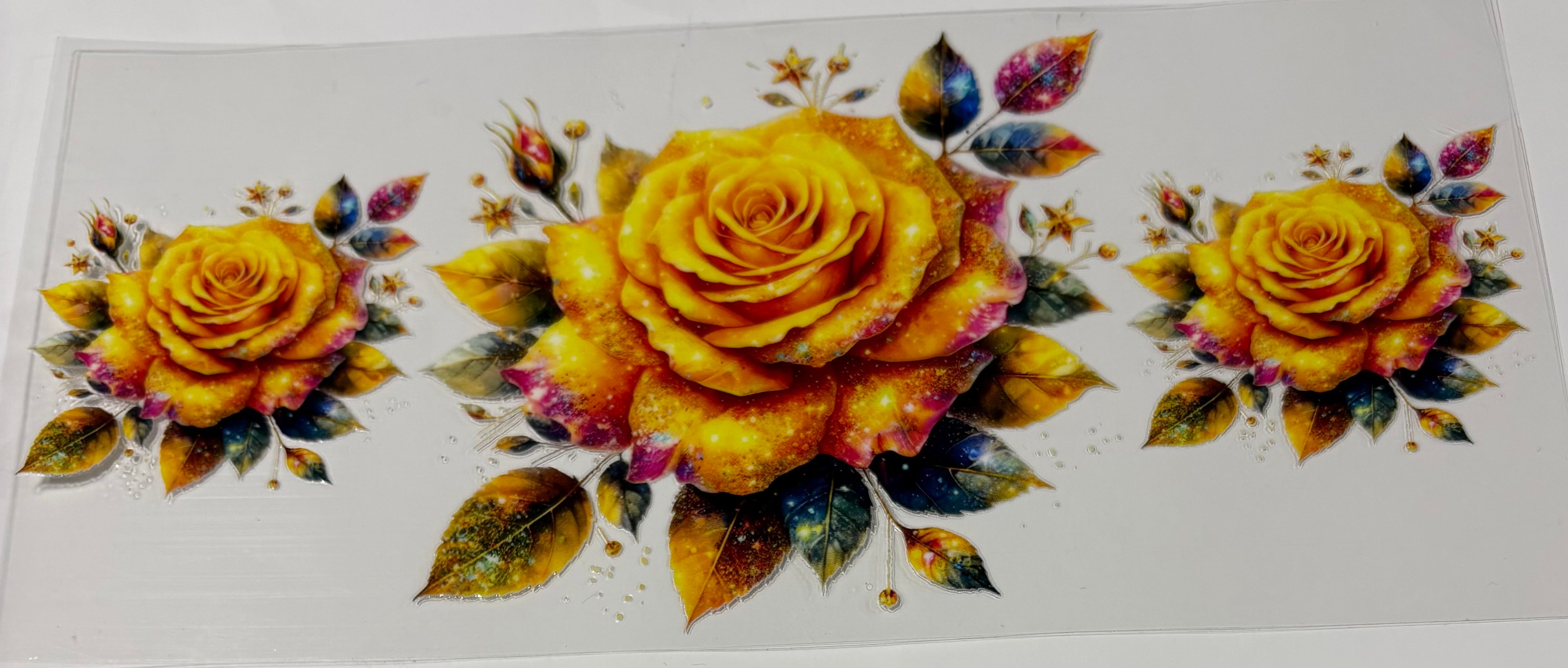 Colorful Roses