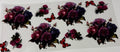 Colorful Roses