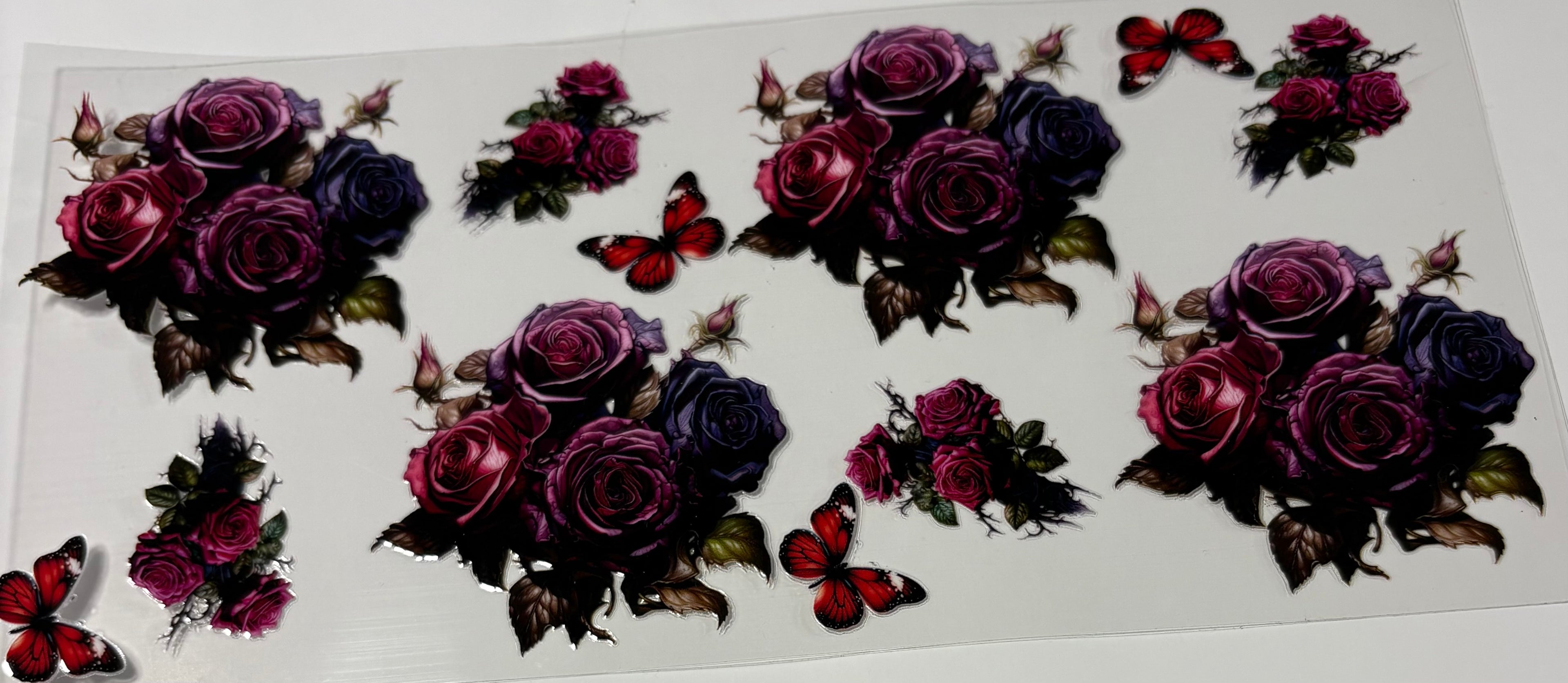 Colorful Roses