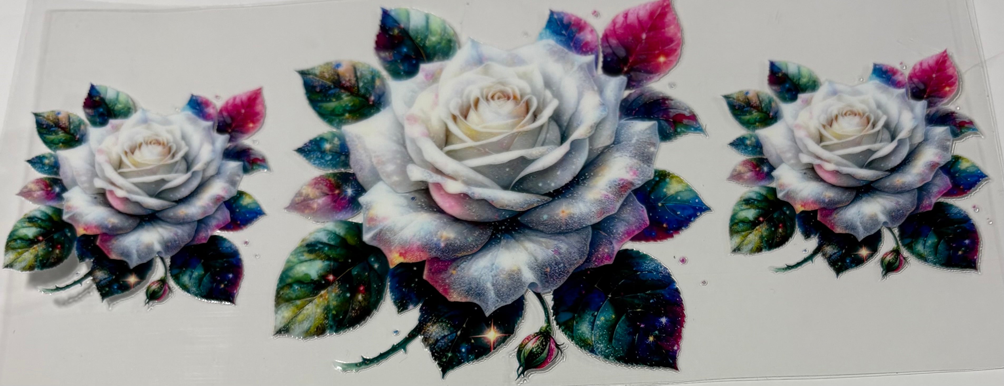 Colorful Roses