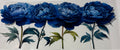 Blue Flowers