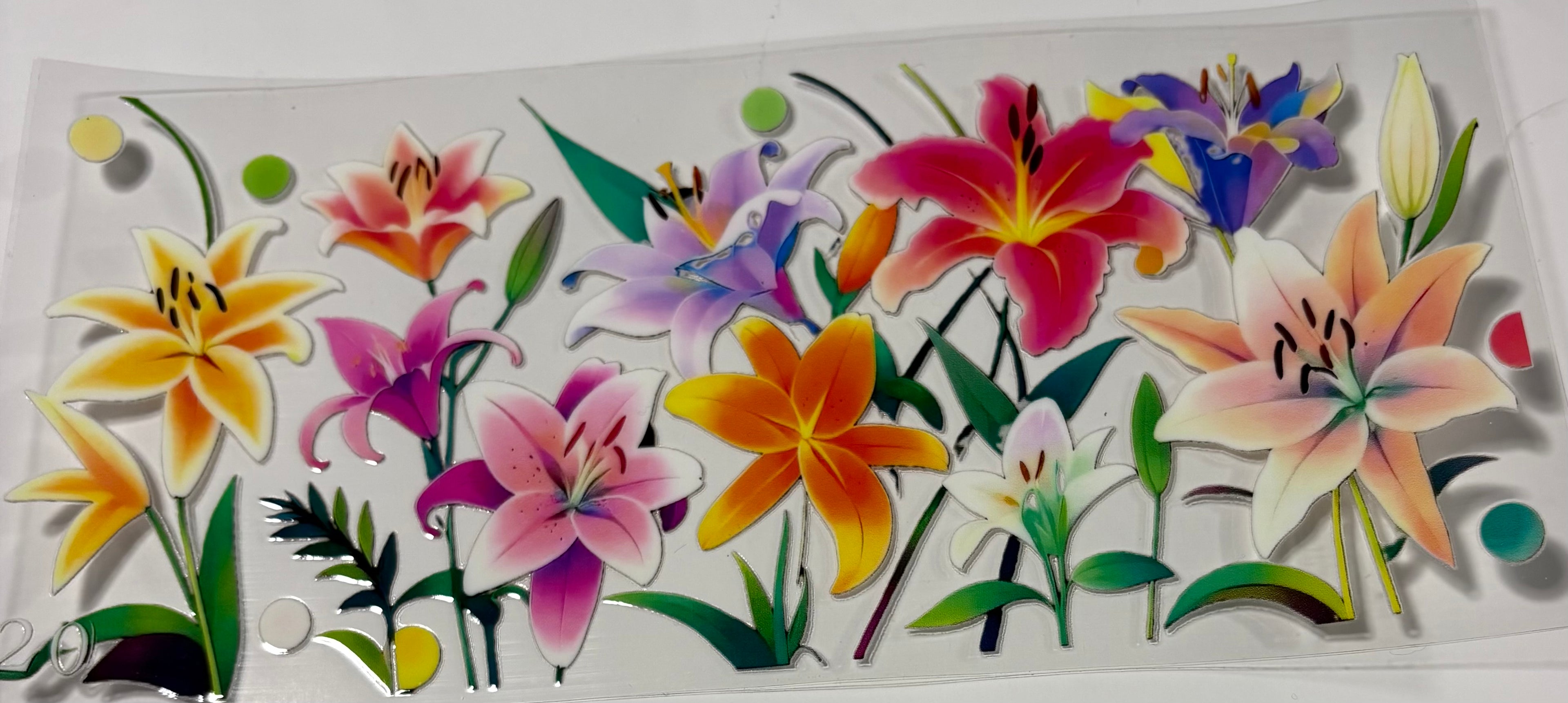 Colorful Flowers