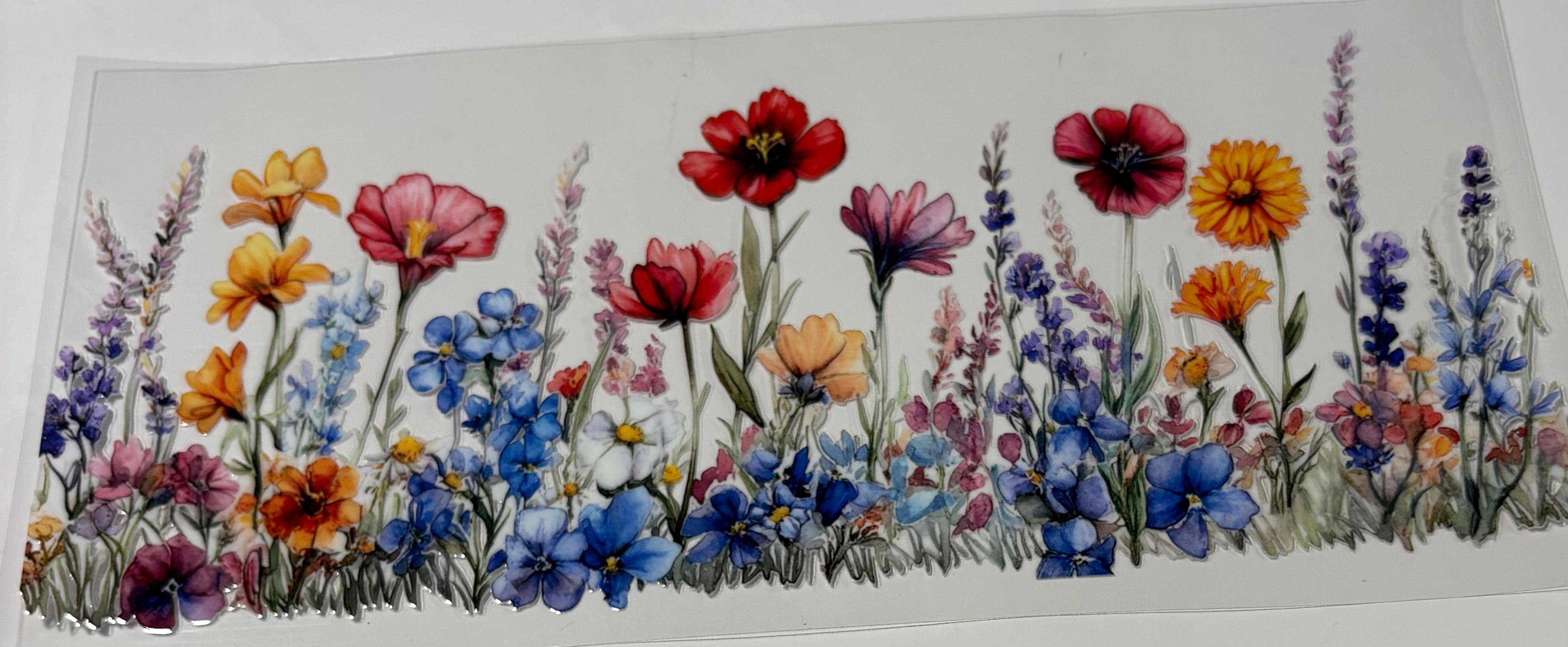 Colorful Flowers