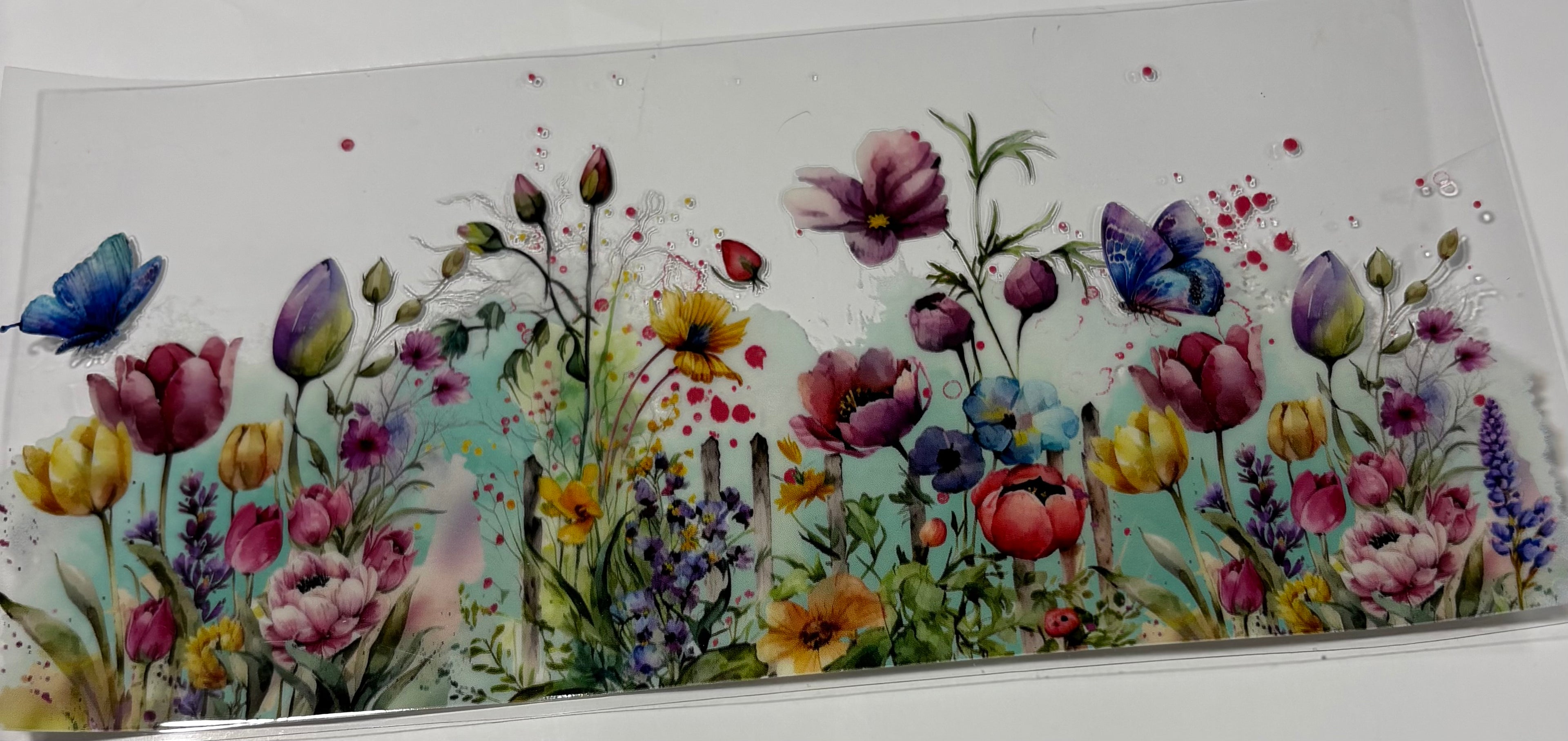 Colorful Flowers