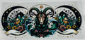 Capricorn Zodiac