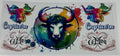 Capricorn/Gemini